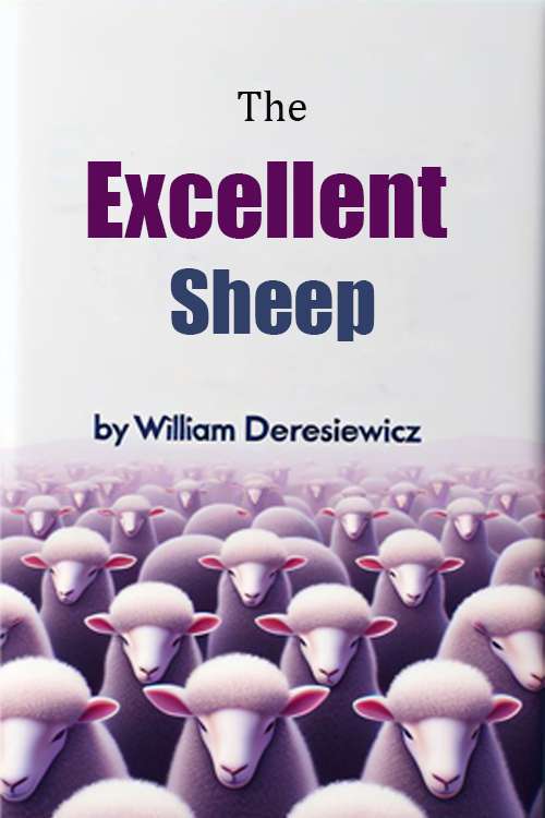 Excellent Sheep